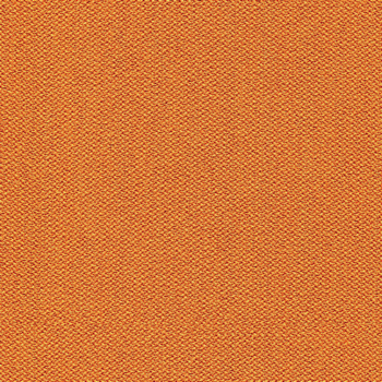 camira-era-cse27.jpg